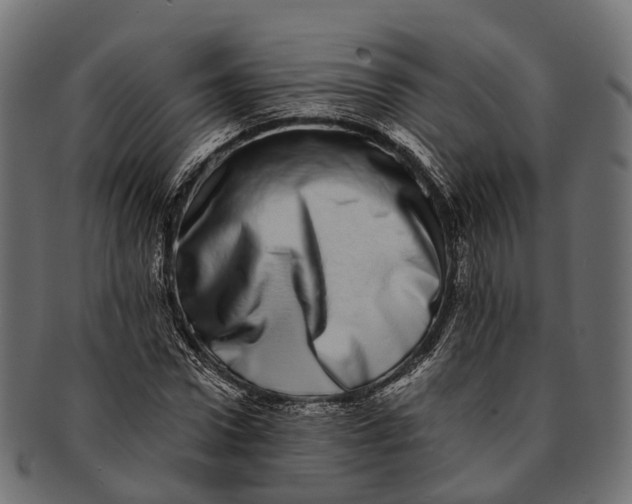 X0000091560922200709071123