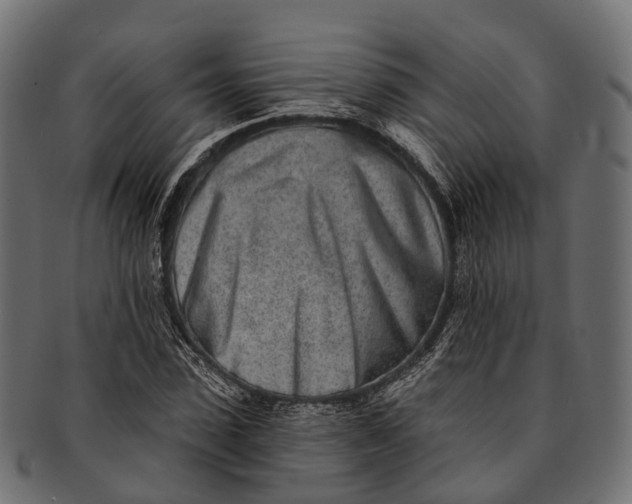 X0000091560923200709071123