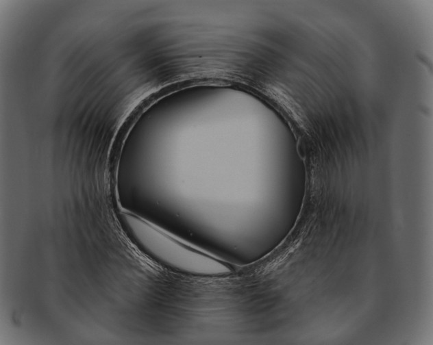 X0000091560924200709071123