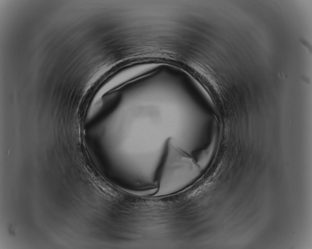 X0000091560925200709071123