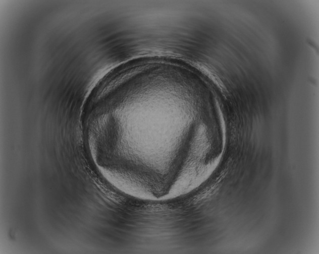 X0000091560927200709071124