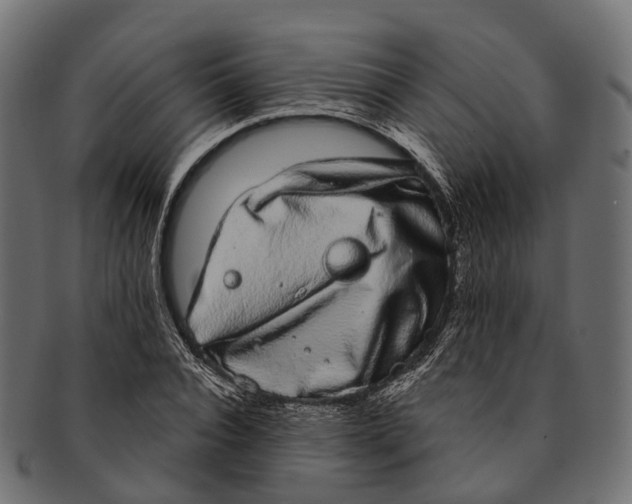 X0000091560928200709071124