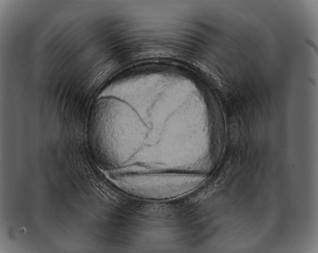 X0000091560929200709071124