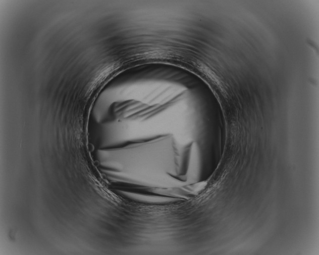 X0000091560930200709071124