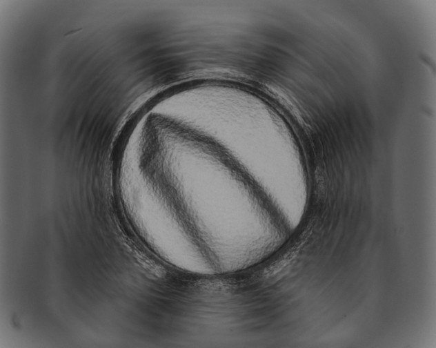 X0000091560931200709071124