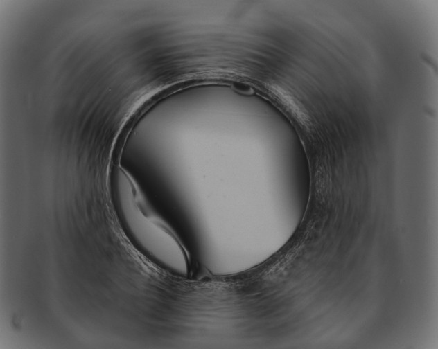 X0000091560932200709071124