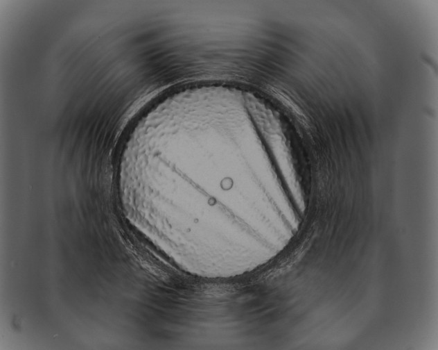 X0000091560933200709071124