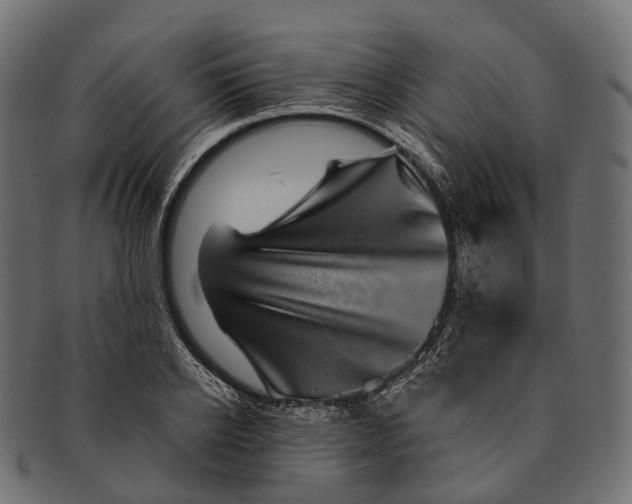 X0000091560934200709071124