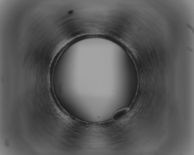 X0000091560935200709071124