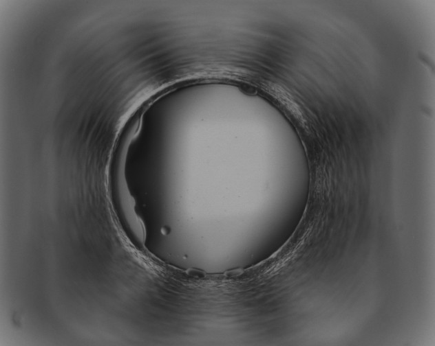 X0000091560936200709071124