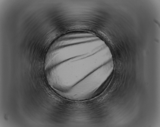 X0000091560937200709071124