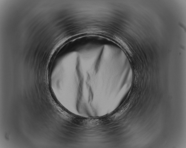 X0000091560939200709071124