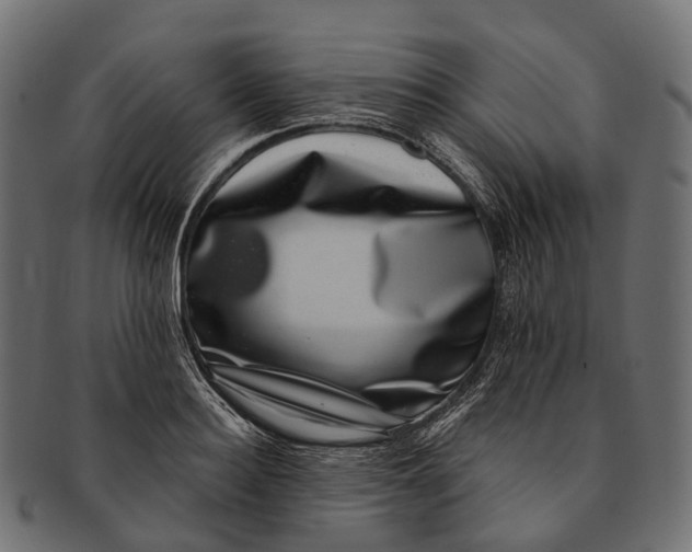 X0000091560940200709071124