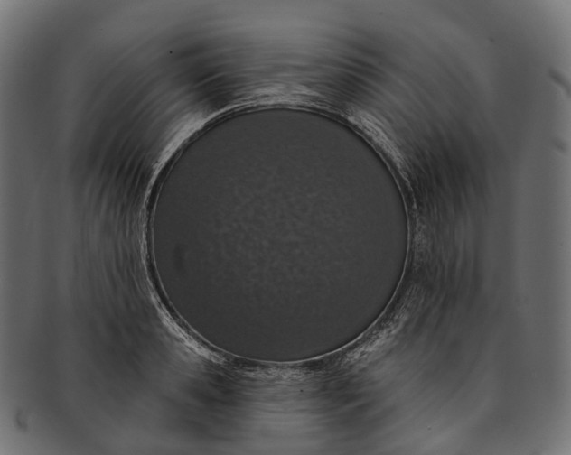 X0000091560941200709071124