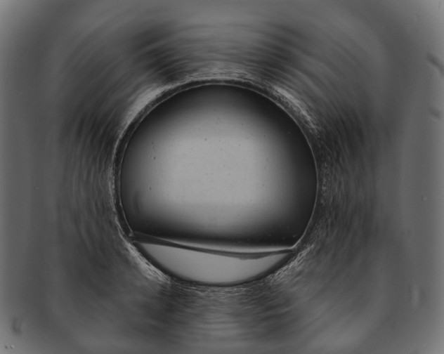 X0000091560942200709071124