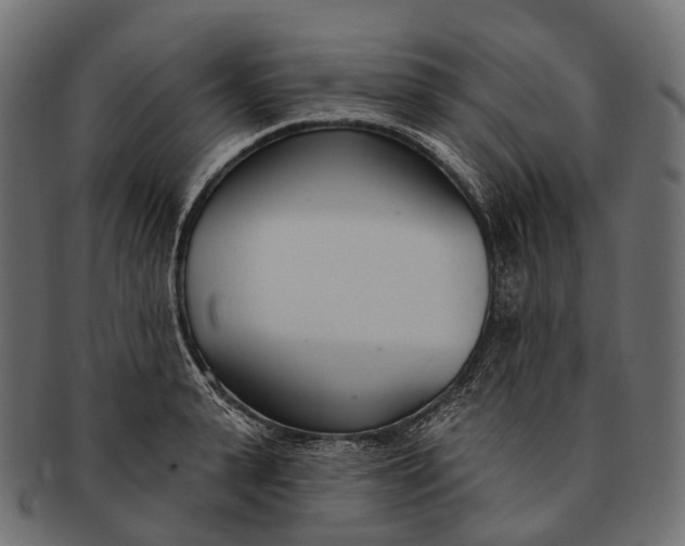 X0000091560943200709071124