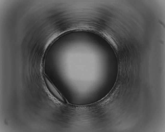 X0000091560944200709071124