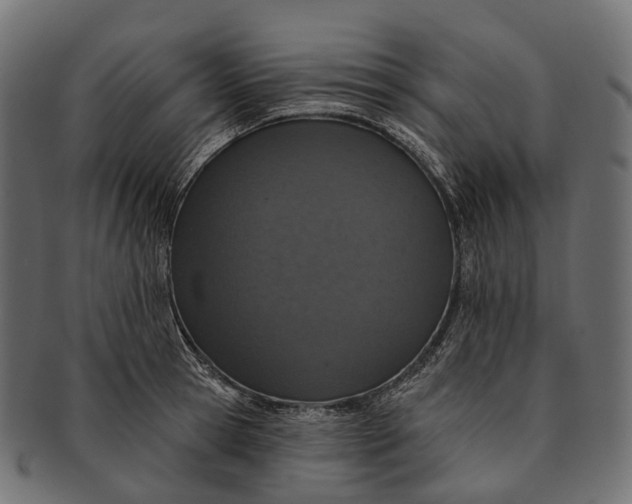 X0000091560945200709071124