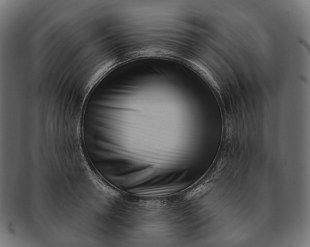 X0000091560946200709071124