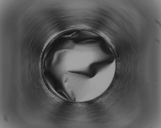 X0000091560947200709071124