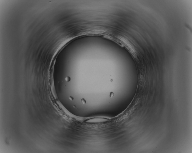 X0000091560948200709071124