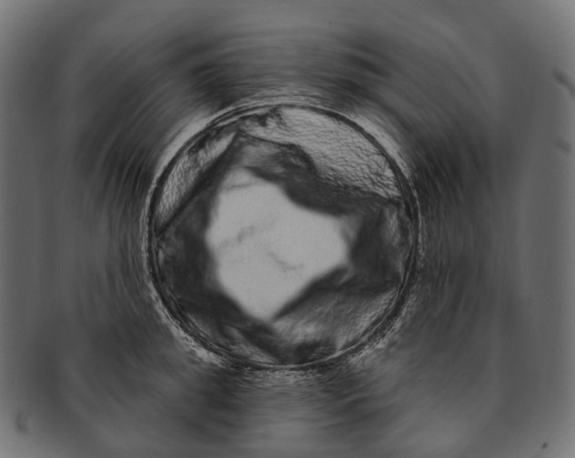 X0000091560949200709071124