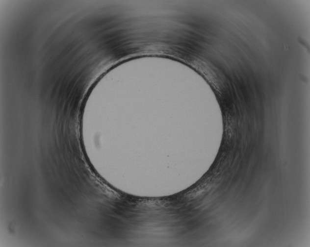 X0000091560950200709071124