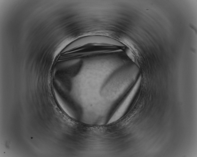 X0000091560952200709071124