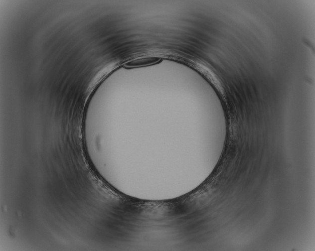 X0000091560954200709071124