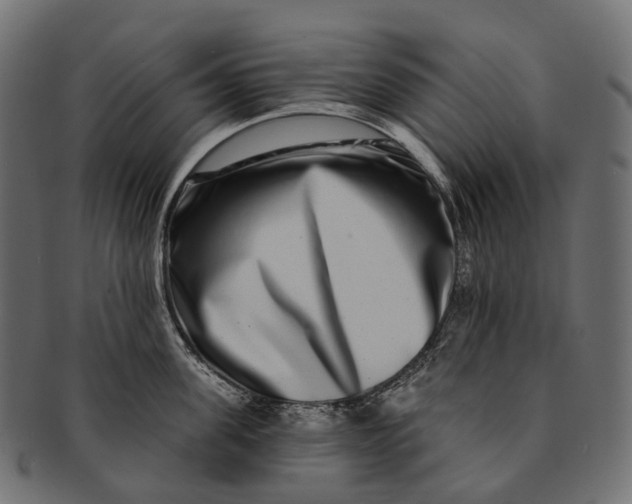 X0000091560955200709071124