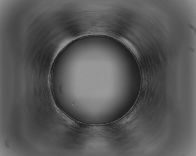 X0000091560958200709071124