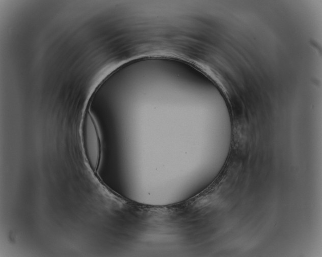 X0000091560959200709071124