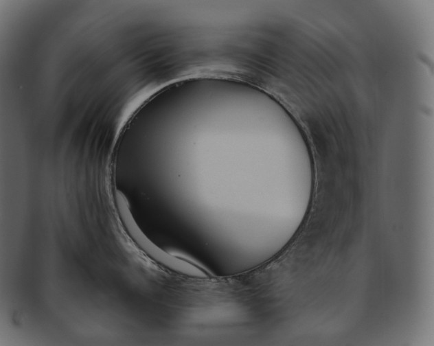 X0000091560960200709071124