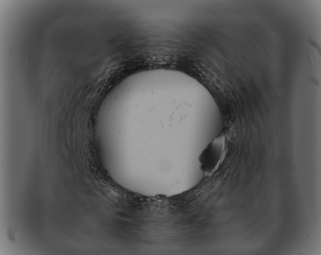 X0000091560961200709071123