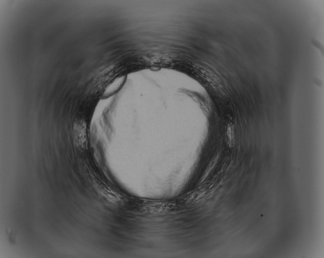 X0000091560963200709071123