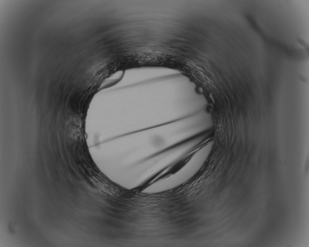 X0000091560964200709071123