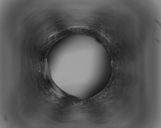 X0000091560965200709071123