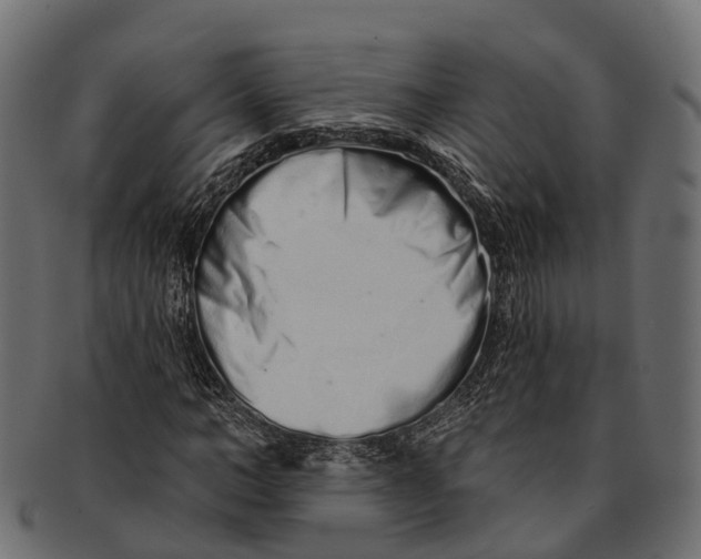 X0000091560966200709071123