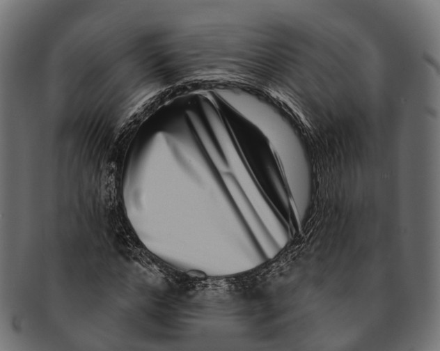 X0000091560968200709071123