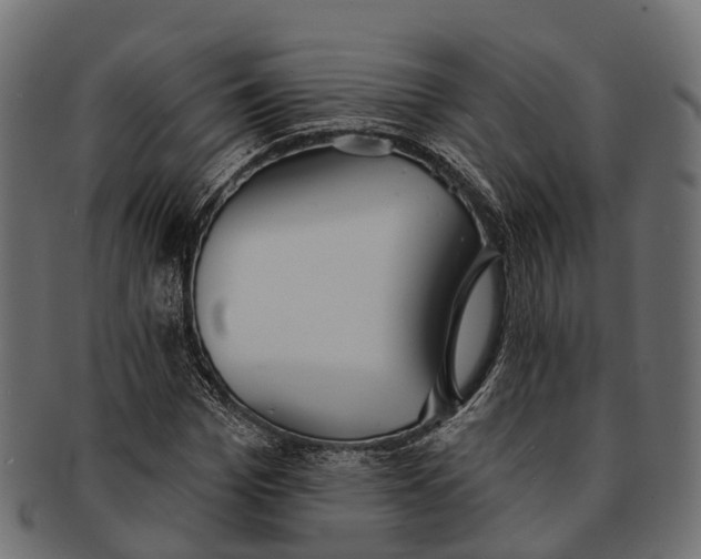 X0000091560969200709071123