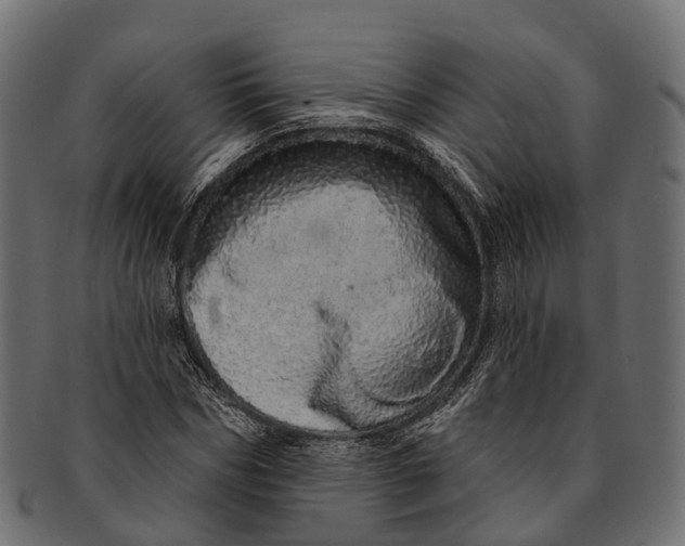 X0000091560970200709071123