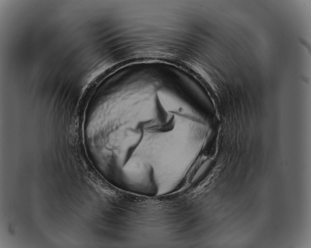 X0000091560971200709071123