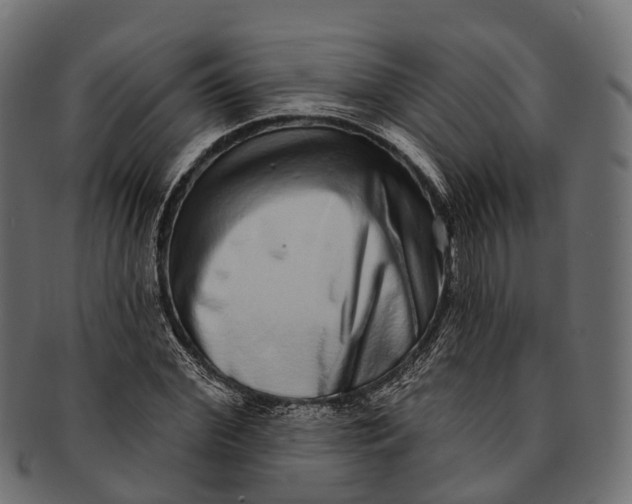 X0000091560972200709071123