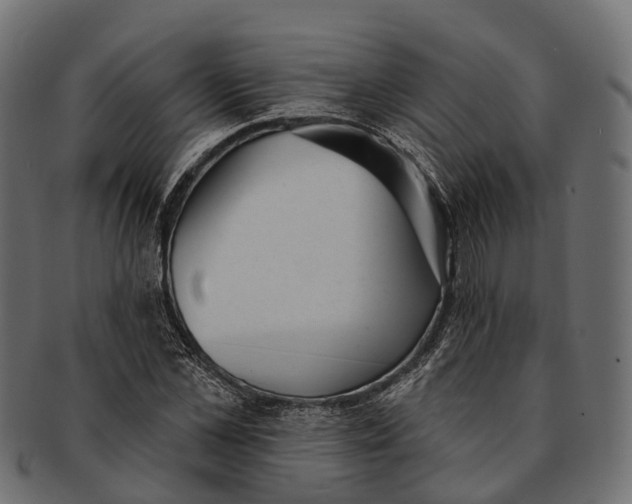 X0000091560973200709071123