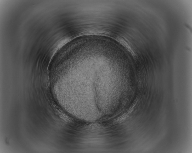 X0000091560974200709071123