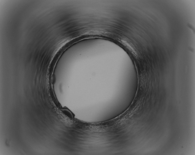 X0000091560976200709071123