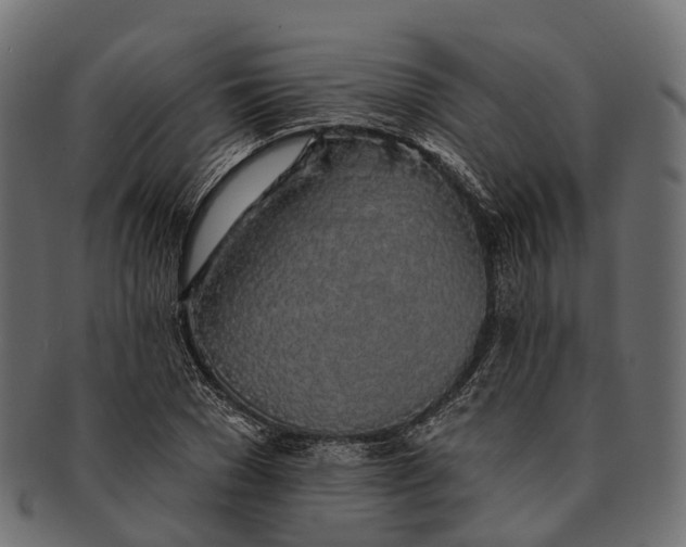 X0000091560977200709071123