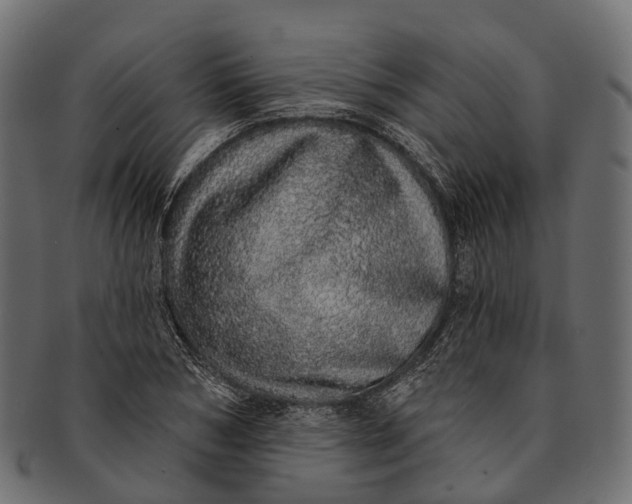 X0000091560978200709071123