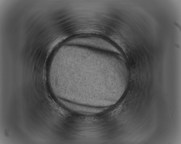 X0000091560979200709071123