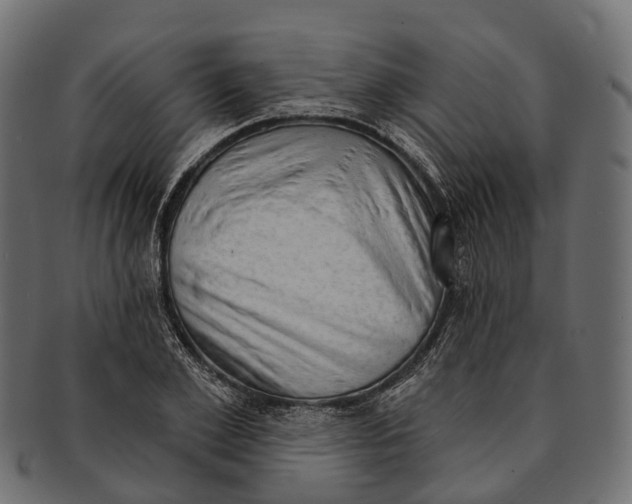 X0000091560981200709071123